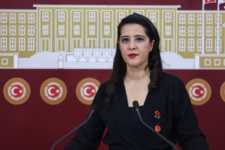 Sevda Karaca’dan Filistin Tezkeresi Tepkisi: “Hamasetten Öteye Gitmez”